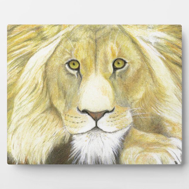 Placa Expositora León africano (Frente)