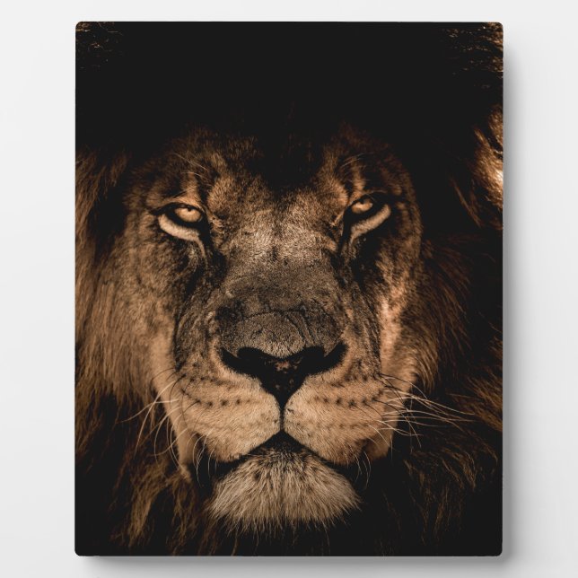 Placa Expositora león africano mane eye (Frente)