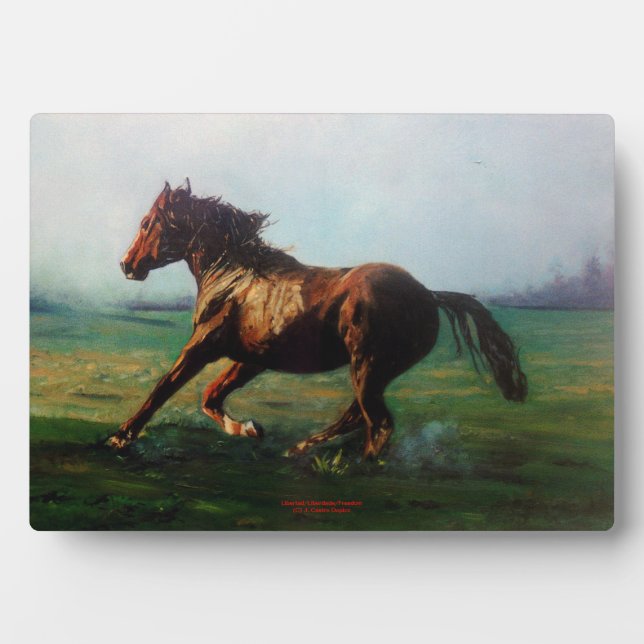 Placa Expositora Libertad/Libertad/Libertad (Frente)