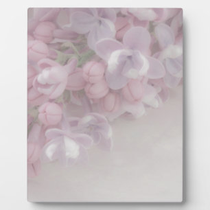 Placa Expositora Lilac Blossom