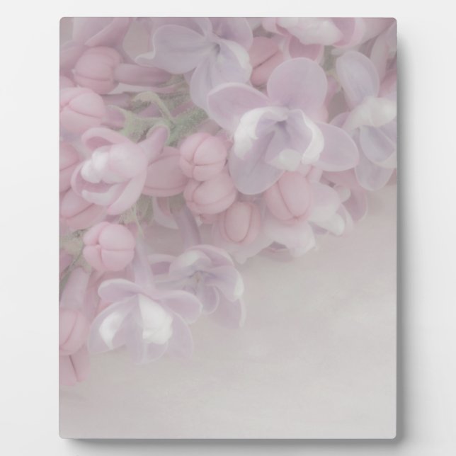 Placa Expositora Lilac Blossom (Frente)