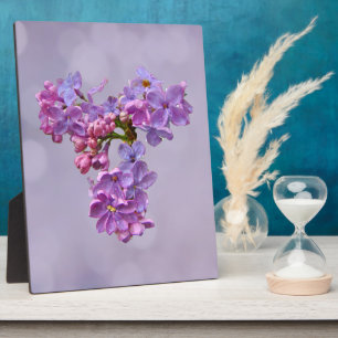 Placa Expositora Lilacs en primavera
