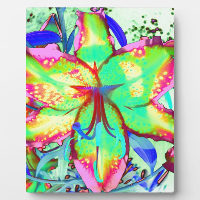 Placa Expositora Lily West (Frente)