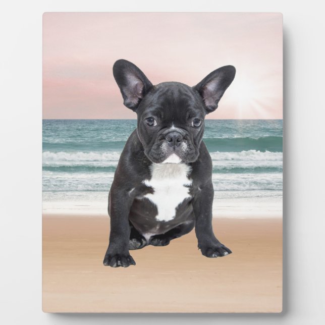 Placa Expositora Lindo Bulldog Francés Playa Sol Agua (Frente)