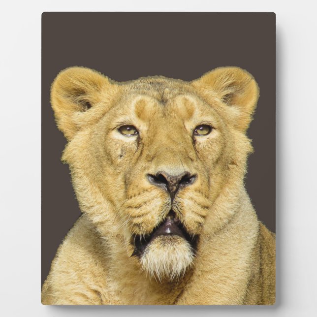 Placa Expositora Lion Motivational Leading (Frente)