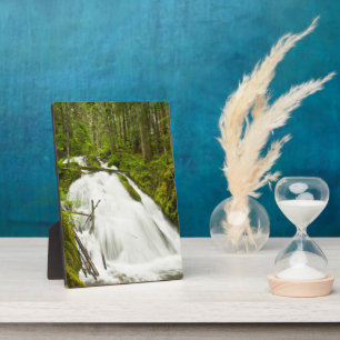 Placa Expositora Little Zig Zag Falls   Bosque nacional Mount Hood