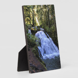 Placa Expositora Little Zigzag cae, OR