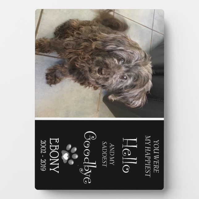 Placa Expositora Llanto de despedida más triste (Singular) (Frente)