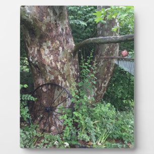 Placa Expositora Lluvia de verano suave