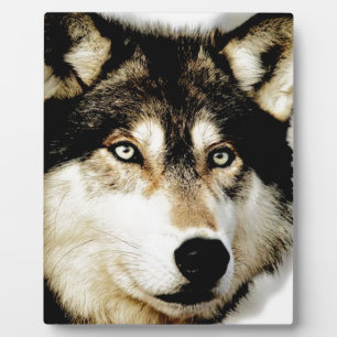 Placa Expositora Lobo Motivador Único