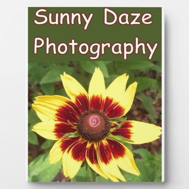 Placa Expositora Logo de Sunny Daze Photography (Frente)