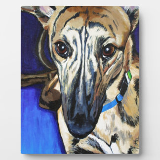 Placa Expositora Loki - Perro Lurcher