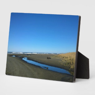 Placa Expositora Long Beach, Washington