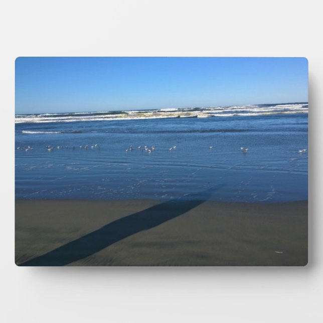 Placa Expositora Long Beach, Washington (Frente)