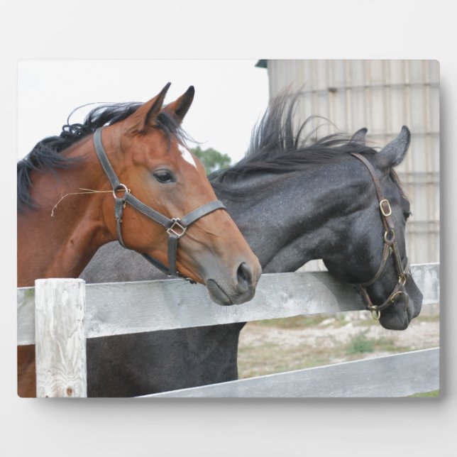 Placa Expositora Los Caballos de Amor (Frente)