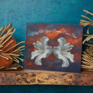 Placa Expositora Los sueños de las flores de Hibiscus se vuelven In