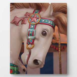 Placa Expositora Luces y sonidos del verano