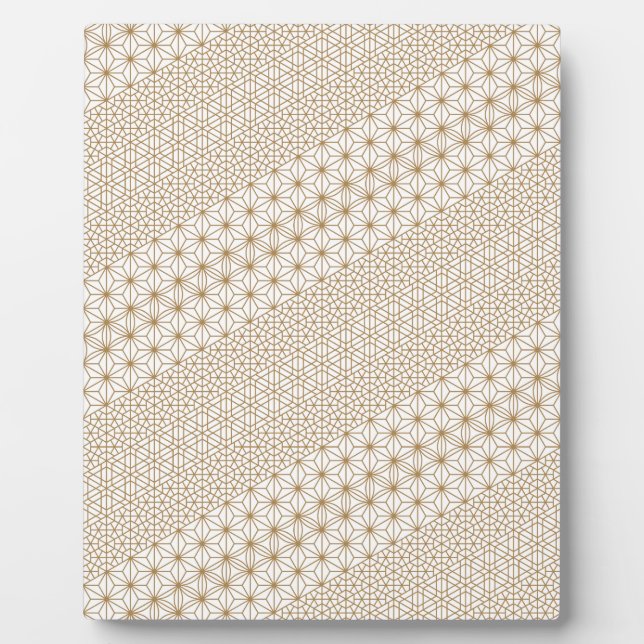 Placa Expositora Lujo (Frente)