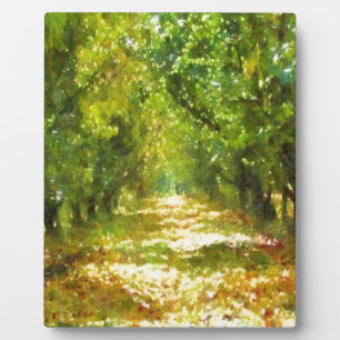 Placa Expositora Luz desplegada de los sueños del día Arbol Avenida