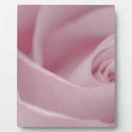 Placa Expositora Macro rosa rosa