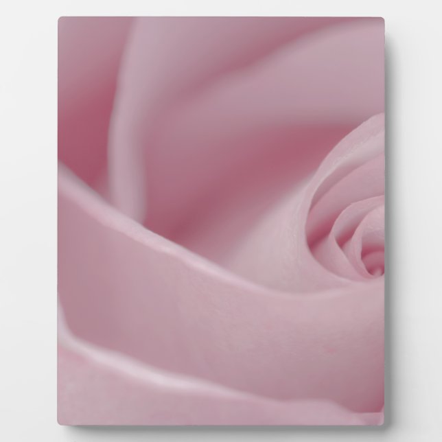 Placa Expositora Macro rosa rosa (Frente)
