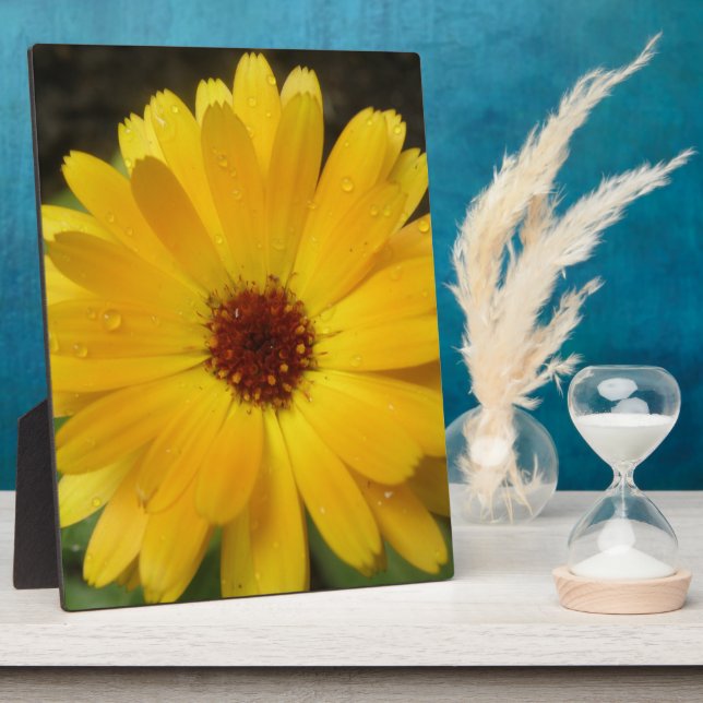 Placa Expositora Macroplo amarillo Marigold (Lado)