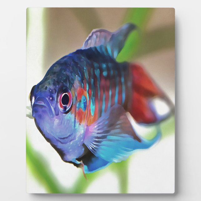Placa Expositora Macropodus Opercularis Aquarium Fish (Frente)