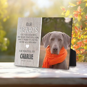 Placa Expositora Madera Rústica ligera del País   Monumento a la Fo