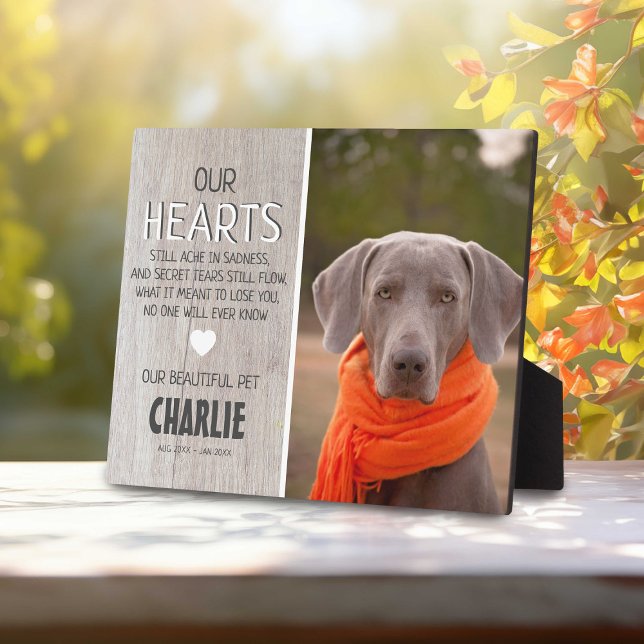 Placa Expositora Madera Rústica ligera del País | Monumento a la Fo (Subido por el creador)