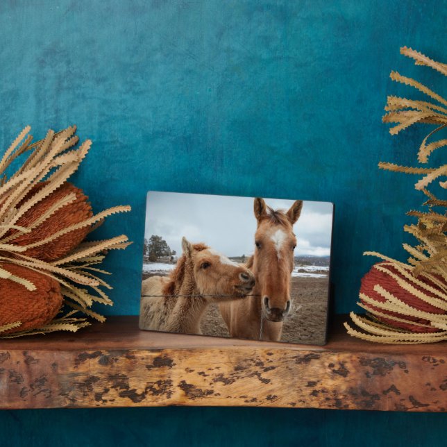 Placa Expositora Madre caballo y potro (Lado)