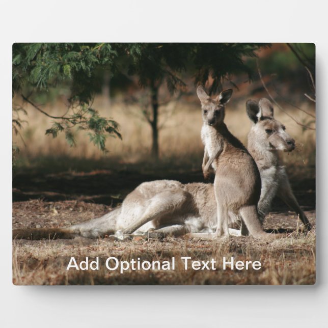 Placa Expositora Madre canguro y Joey Relaxing (Frente)