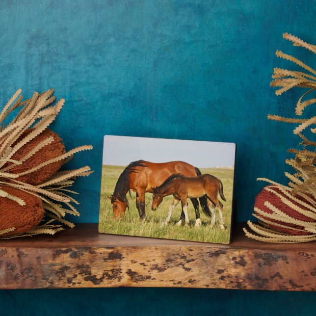 Placa Expositora Madre de caballo salvaje y colt Grazing (Lado)