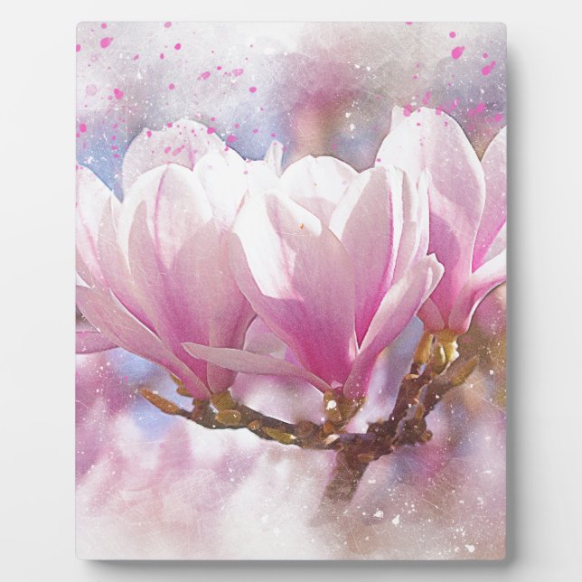 Placa Expositora Magnolia púrpura rosada en flor de primavera (Frente)