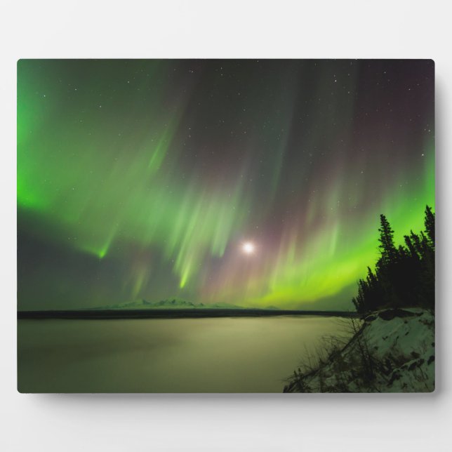 Placa Expositora Majestic Aurora (Frente)