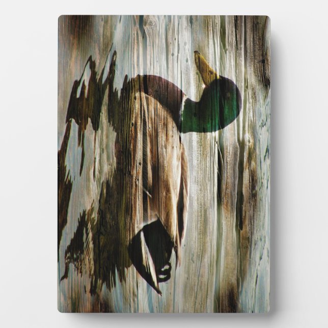 Placa Expositora Mallard Duck (Frente)