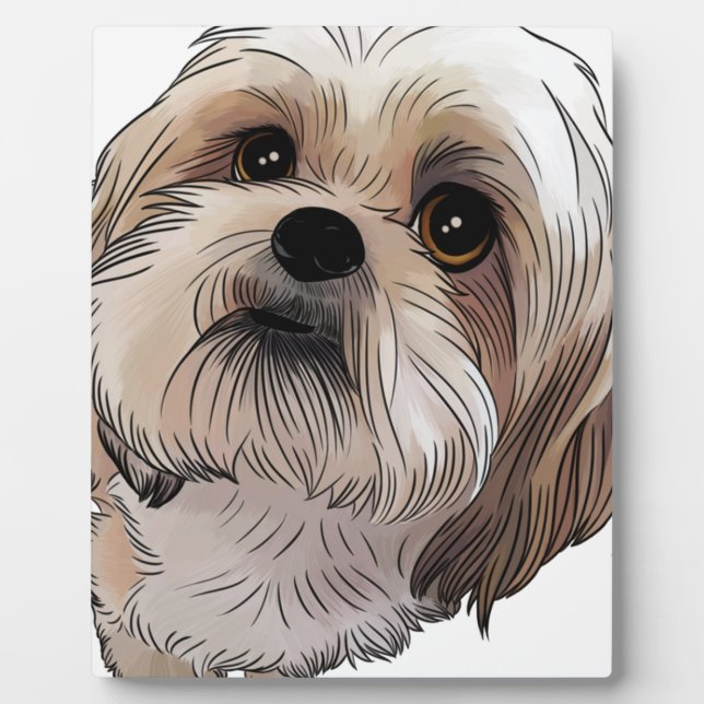 Placa Expositora Malshi Mal-shi (Frente)