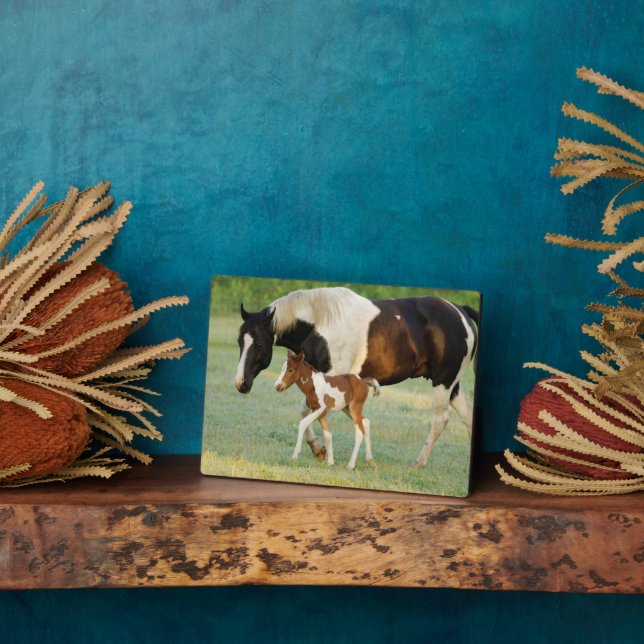 Placa Expositora Mamá y recién nacido Paint Filly (Lado)