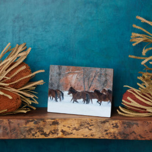 Placa Expositora Manada de caballos corriendo en la nieve