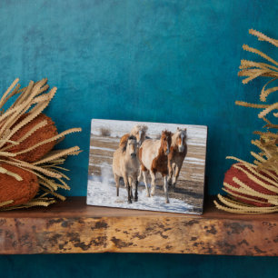 Placa Expositora Manada de caballos de razas mixtas corriendo en la