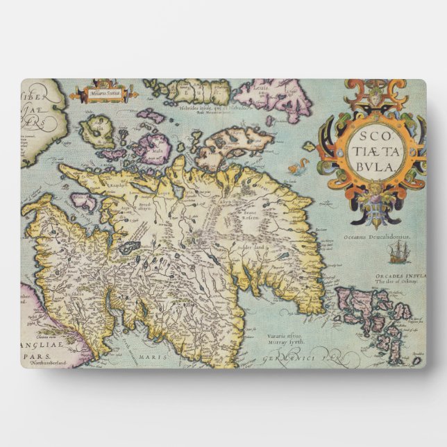 Placa Expositora Map of Scotland | Miliaria Scotia (Frente)