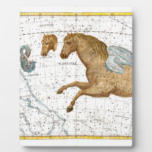 Placa Expositora Mapa Celestial Pegaso