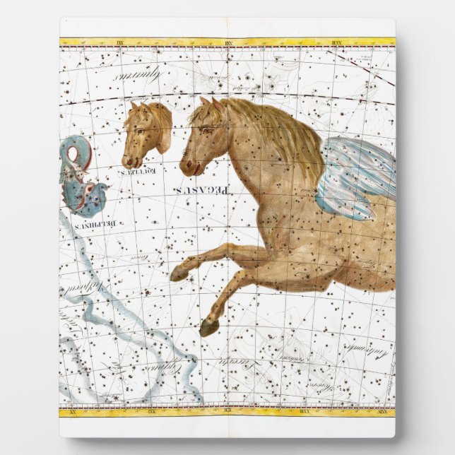 Placa Expositora Mapa Celestial Pegaso (Frente)