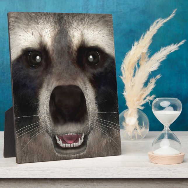 Placa Expositora Mapache (Lado)