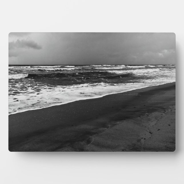Placa Expositora mar es (Frente)