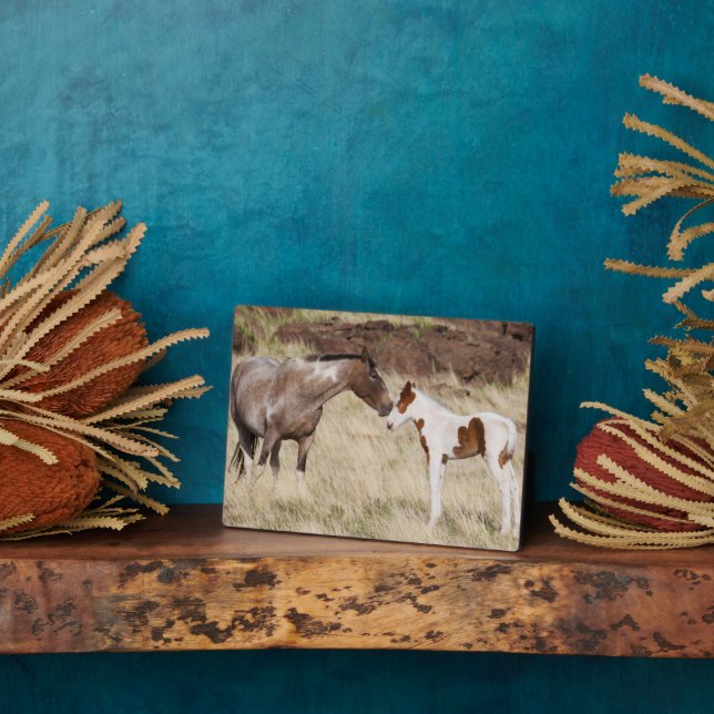 Placa Expositora Mare con Colt (Lado)