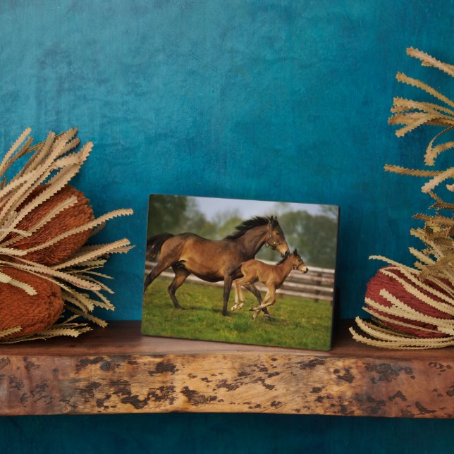 Placa Expositora Mare de castaño y estofado tostados (Lado)