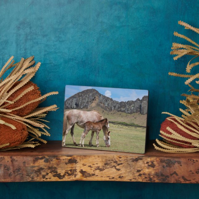 Placa Expositora Mare y Colt en el cráter volcánico de Rano Raraku (Lado)