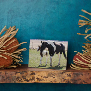 Placa Expositora Mare y Filly Walking