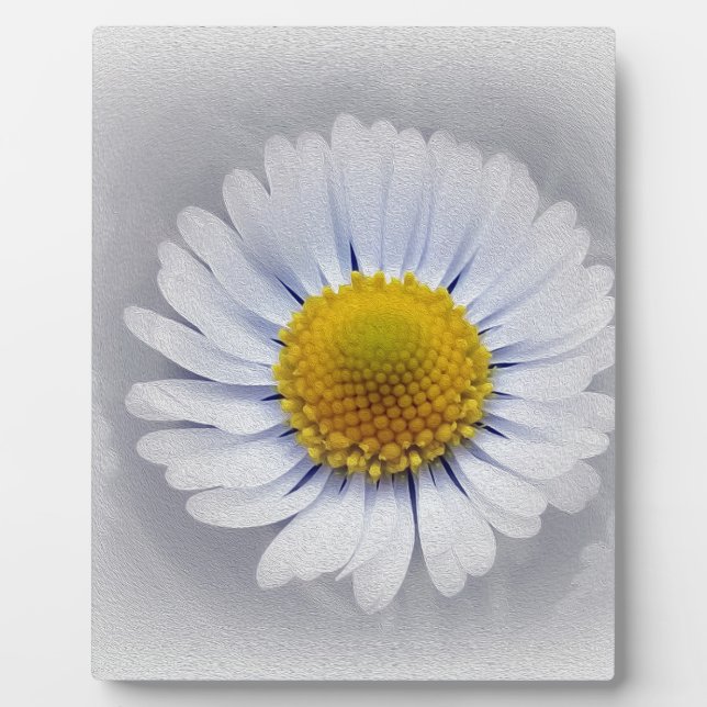 Placa Expositora margarita blanca brillante (Frente)