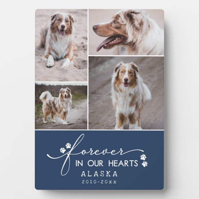 Placa Expositora Marina Para Siempre En Nuestro Collage de fotos Ma (Frente)